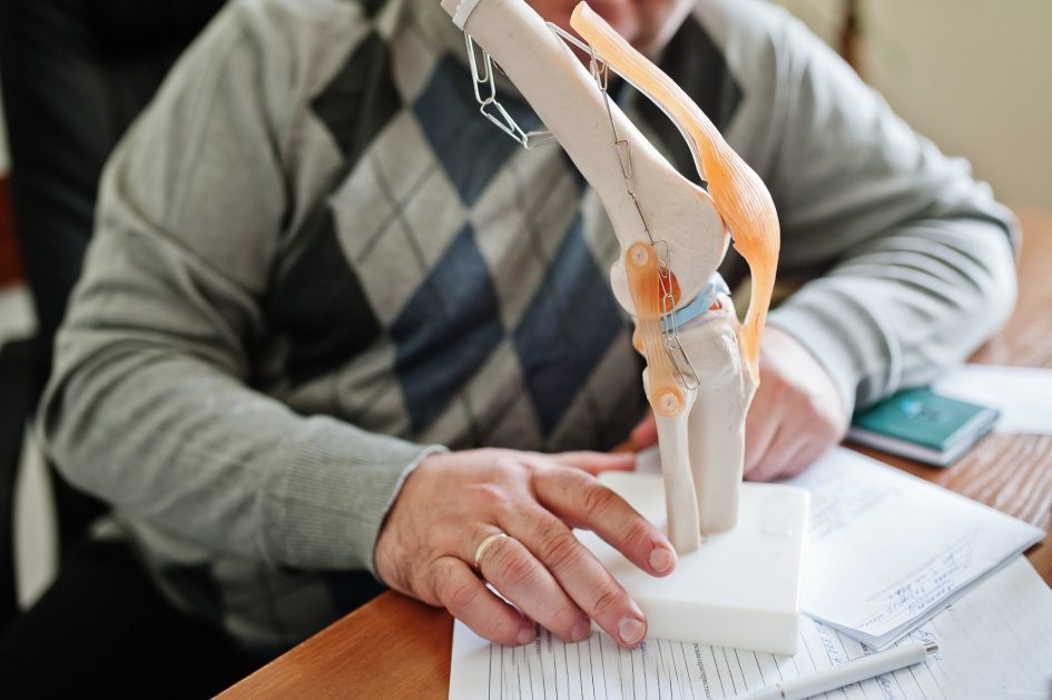 Artificial human knee joint model in medical office on table.