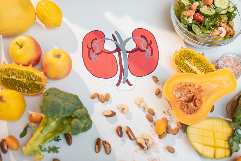 Human kidneys drawing and healthy fresh food on the table