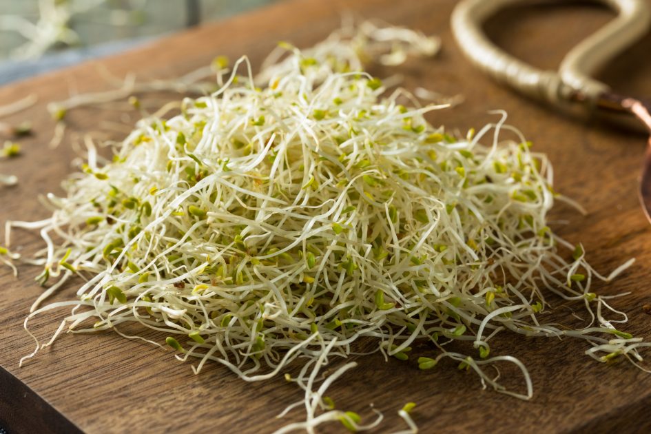 Raw Green Organic Alfalfa Sprouts