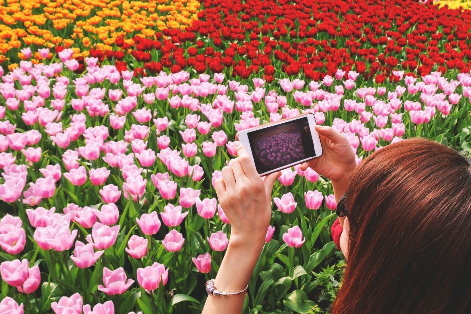 Young girl making photo with her smartphone