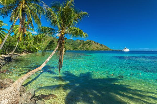 Palm Trees and quiet bay at Moorea in Tahiti