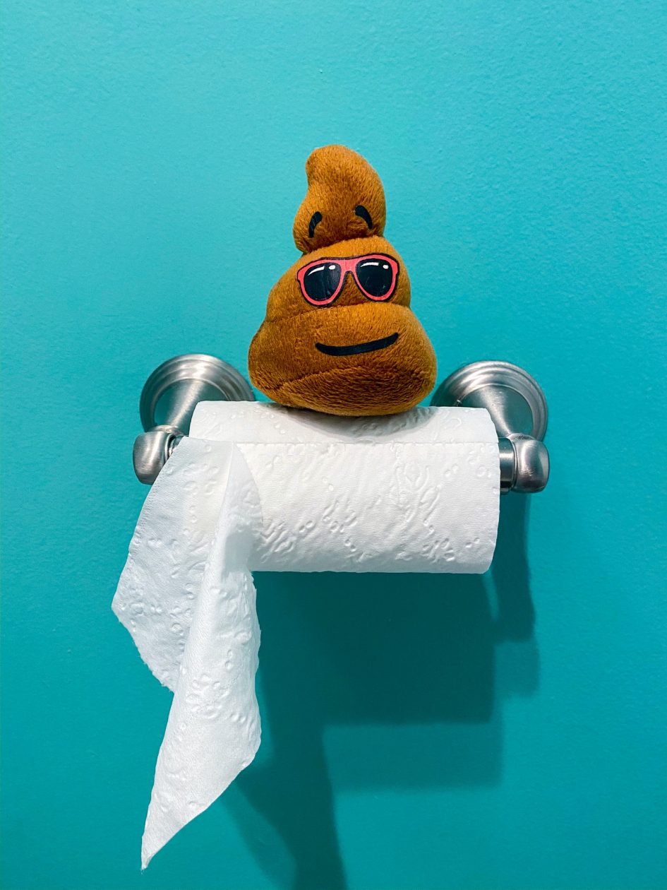 A poop toy on a roll of toilet paper, funny photo, toilet roll, bathroom, humor, restroom, hilarious