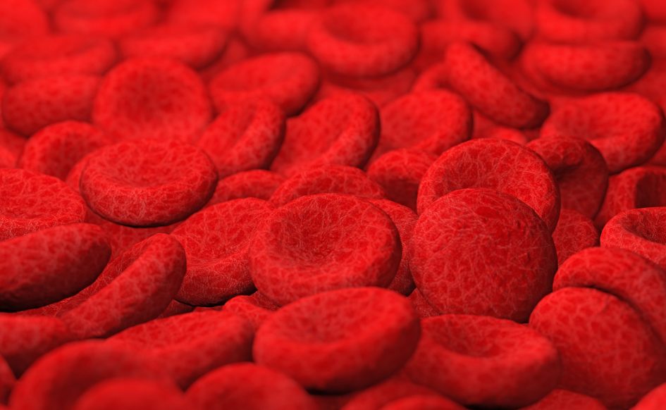 red blood cells background, 3d Illustration