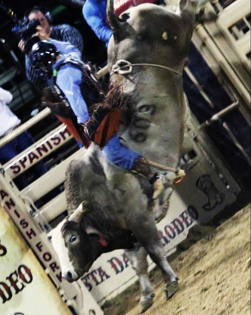 How Much Do Bull Riders Get Paid? You Won’t Believe It! – GeniusWriter